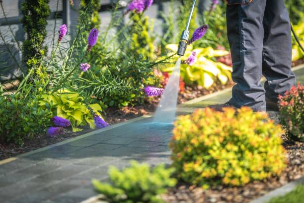 Best House Exterior Washing  in Nipomo, CA