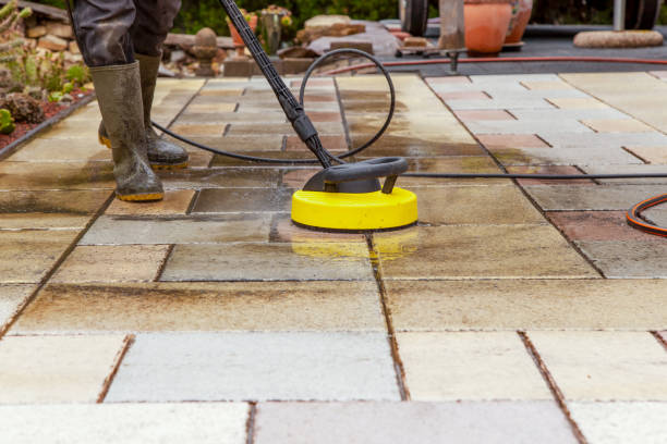 Best Animal Enclosure Cleaning  in Nipomo, CA